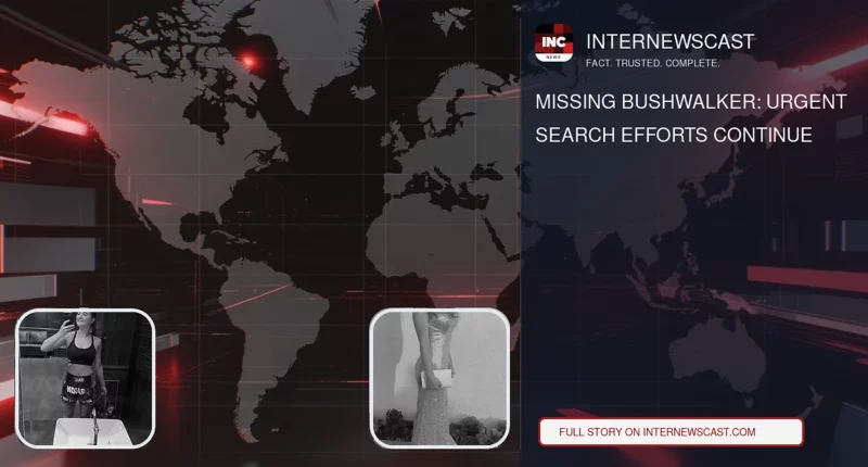 Missing Bushwalker: Urgent Search Efforts Continue - Internewscast Journal
