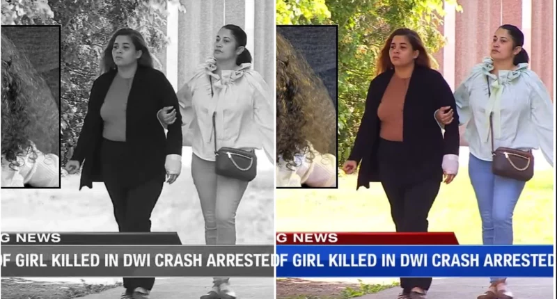 Mom Let Drunk Girlfriend Drive Before Crash Killed 3-Year-Old, DA Says - Internewscast Journal