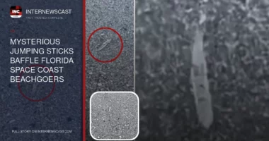 Mysterious Jumping Sticks Baffle Florida Space Coast Beachgoers - Internewscast Journal
