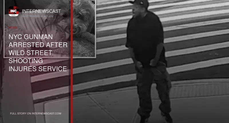 NYC Gunman Arrested After Wild Street Shooting Injures Service Dog, Police Say - Internewscast Journal