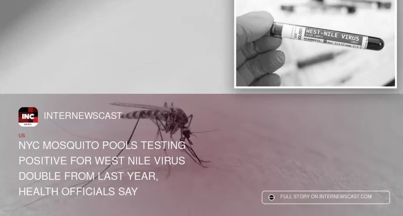 NYC Mosquito Pools Testing Positive for West Nile Virus Double From Last Year, Health Officials Say - Internewscast Journal