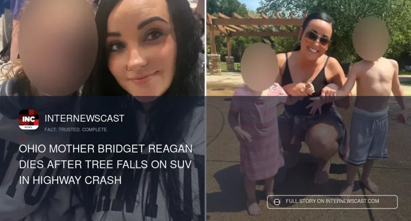Ohio Mother Bridget Reagan Dies After Tree Falls on SUV in Highway Crash - Internewscast Journal