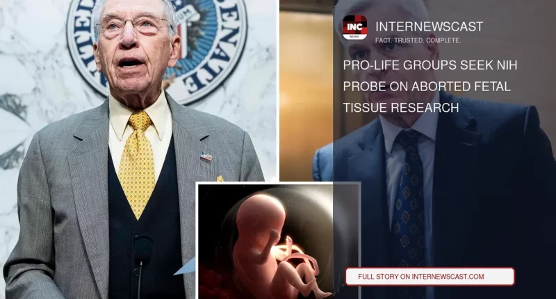 Pro-Life Groups Seek NIH Probe on Aborted Fetal Tissue Research - Internewscast Journal