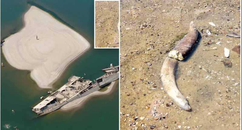 Record-Low Danube Reveals Sunken Nazi Ships, Mammoth Bones - Internewscast Journal