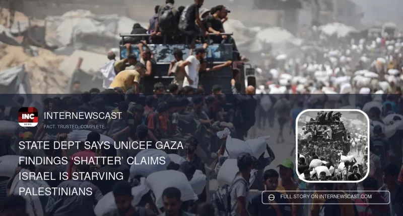 State Dept Says UNICEF Gaza Findings ‘Shatter’ Claims Israel Is Starving Palestinians - Internewscast Journal