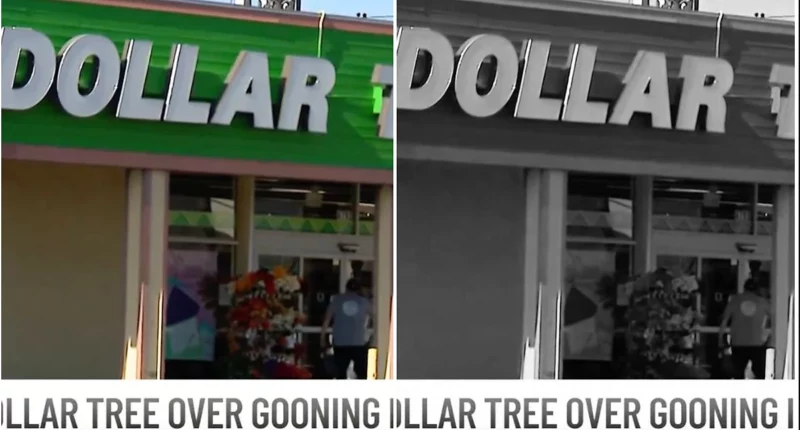 Suit: Man Followed Woman in Dollar Tree, Attacked With Fluids - Internewscast Journal