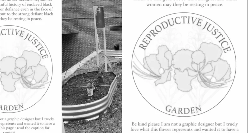 SUNY Purchase Hosts Abortion-Inducing Plant Garden on Campus - Internewscast Journal