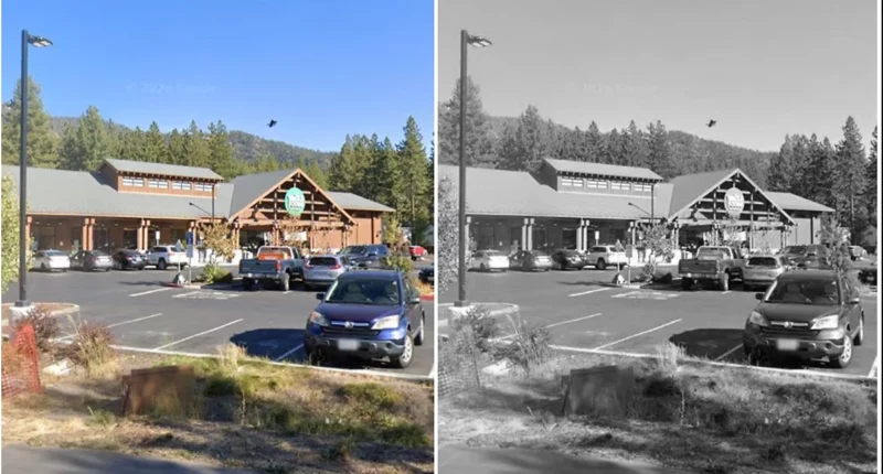 Teen Accused of Stabbing Whole Foods Shopper Before Trying to Flee, Police Say - Internewscast Journal