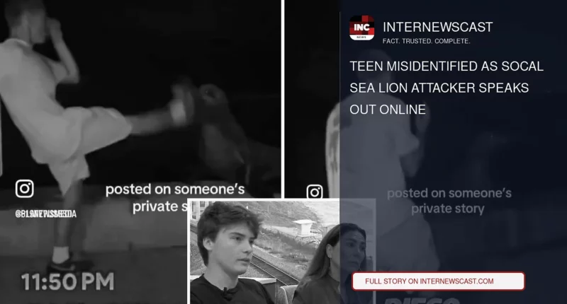 Teen Misidentified as SoCal Sea Lion Attacker Speaks Out Online - Internewscast Journal