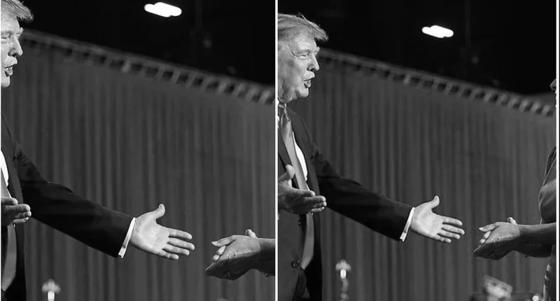 Trump Boosts Darline Graham Ahead of High-Stakes Runoff - Internewscast Journal