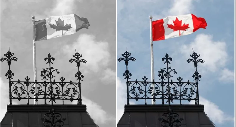 Trump’s 50% Tariffs on Canadian Goods Take Effect: What to Know - Internewscast Journal