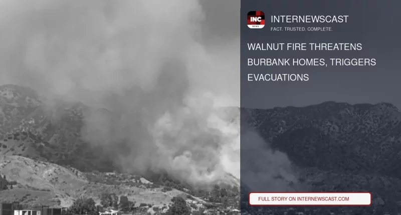 Walnut Fire Threatens Burbank Homes, Triggers Evacuations - Internewscast Journal