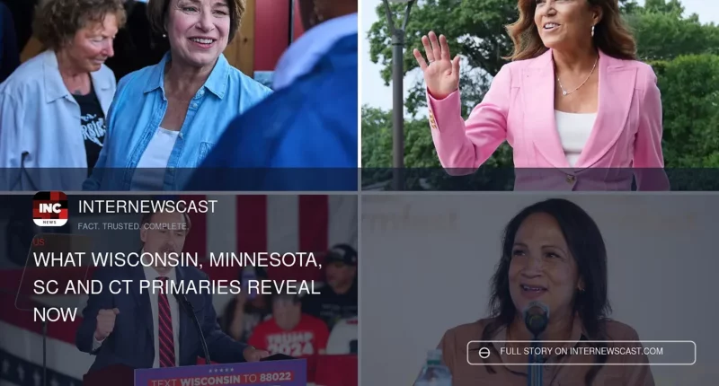 What Wisconsin, Minnesota, SC and CT Primaries Reveal Now - Internewscast Journal