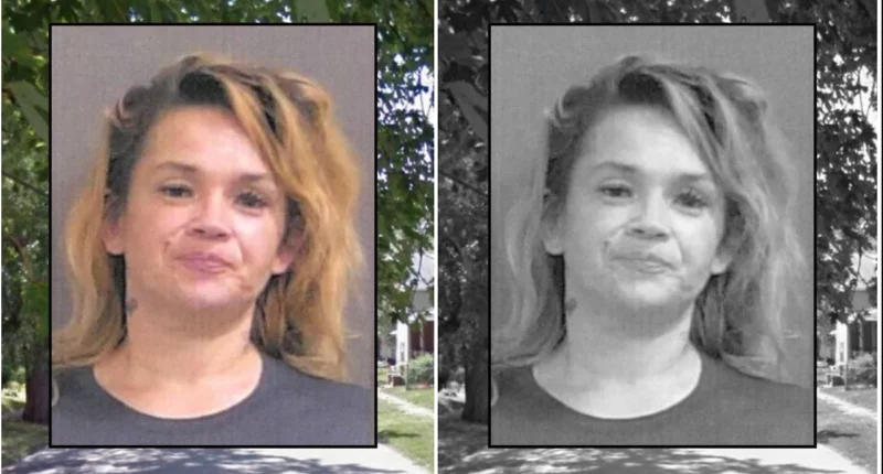 Woman Accused of Orchestrating Attack on Sleeping Man, Then Taunting Him After Collapsed Lung Injury - Internewscast Journal