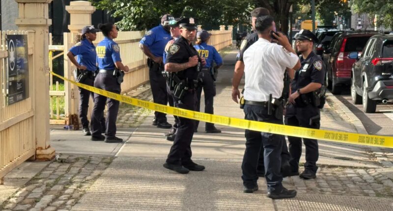 14-year-old boy shot near NYC park by gunman dressed in head-to-toe black: cops