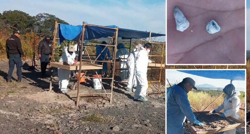 1,600 baby teeth found at suspected mass grave site in Mexico