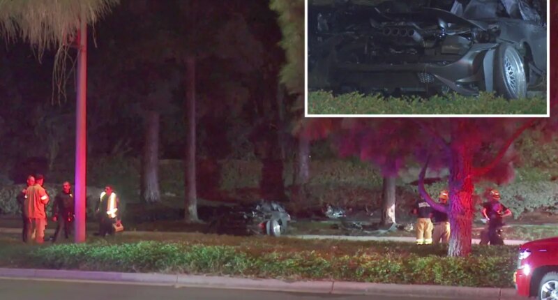 2 killed in California crash as McLaren smashes into tree, bursts into flames