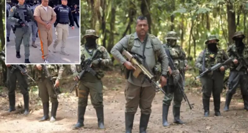 Accused Colombian drug kingpin extradited to California to face drug charges