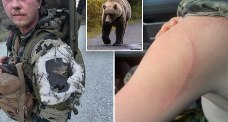Alaska moose hunter remarkably survives bear attack: 'Glad I blacked out'