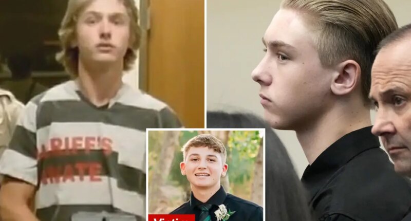 Arizona 'goon' Talyn Vigil arrested for 3rd time while awaiting trial for allegedly killing teen in mob attack