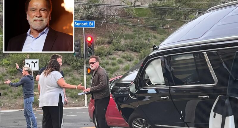 Arnold Schwarzenegger faces 2026 trial over 2022 car crash