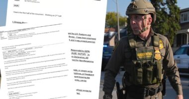 Leader of Chicago immigration op 'Midway Blitz' says he was 'forced to leave'
