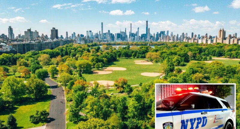 Brazen gunmen rob 6 people in Central Park cellphone spree: cops