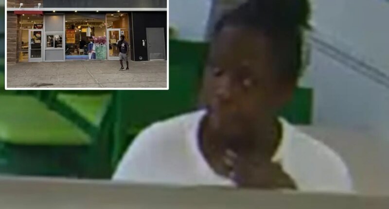 Brooklyn woman arrested after fleeing attempt to snatch 4-year-old boy from grandma outside McDonald's