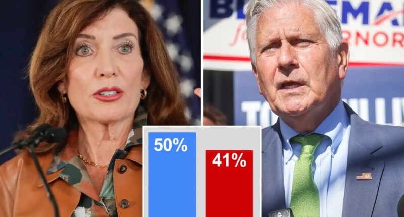 Bruce Blakeman within single digits of Kathy Hochul in New York governor's race: poll