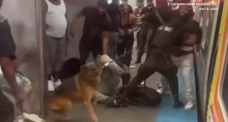 CTA Chicago news: Legal fight for records uncovers complaints about CTA private security firm Action K9 Security