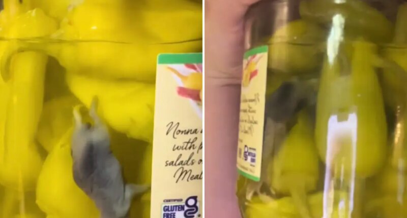 California brand recalls peperoncini over viral mouse TikTok
