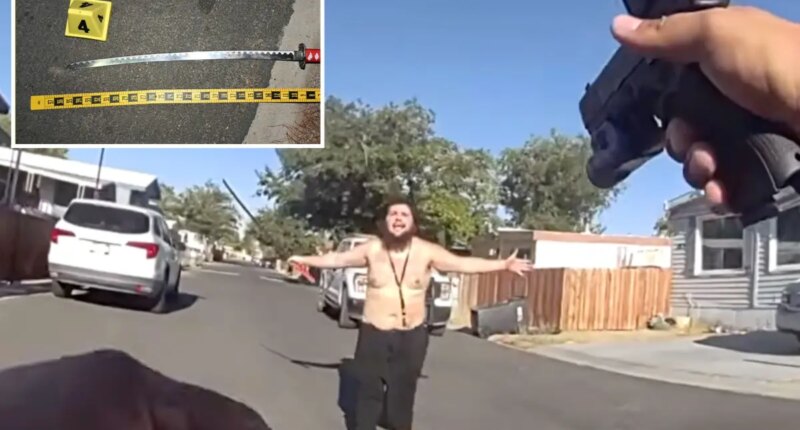 California man allegedly charges sheriff’s deputy with sword in wild bodycam footage