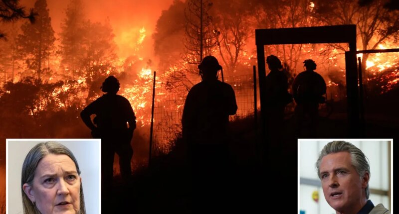 California’s largest utility CEO blasts state’s wildfire liability rules