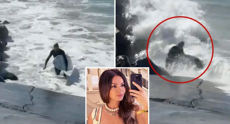 Celebrity publicist rescues unconscious LA surfer from rough surf