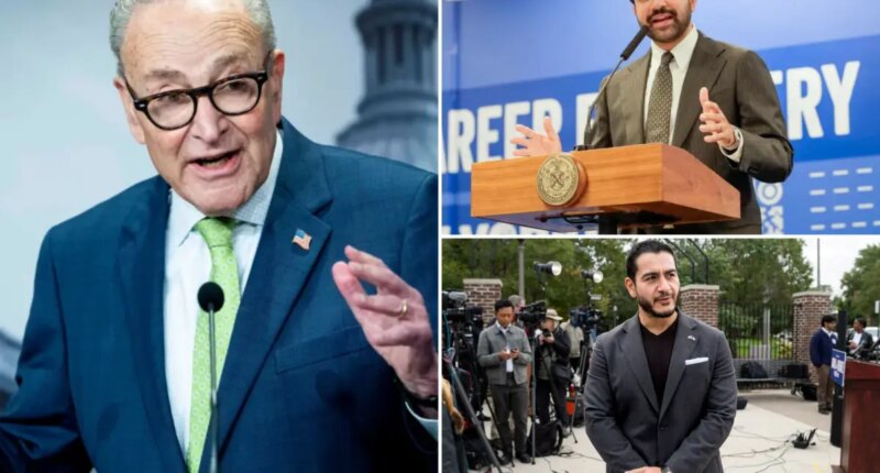 Chuck Schumer's definition of 'antisemite' could include Mamdani, Senate hopeful El-Sayed