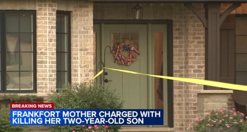 Corie A. Walsh, mother of Barrett, killed in domestic homicide in Brook Stone Court home, charged with murder: Frankfort police
