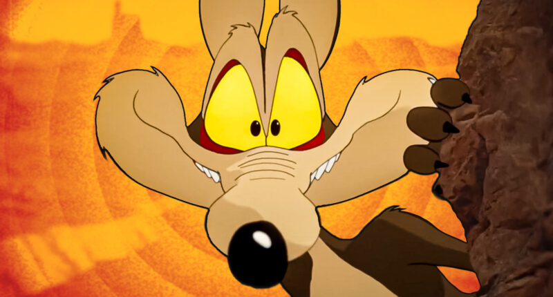 Coyote Vs. Acme: Everything You Need To Know Before Watching