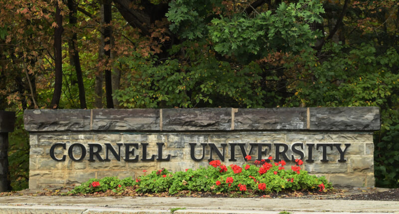 DA defends decision not to prosecute alleged Cornell 'gang rape' case in 2024