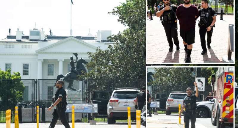 Deranged driver allegedly drove car onto sidewalk near White House