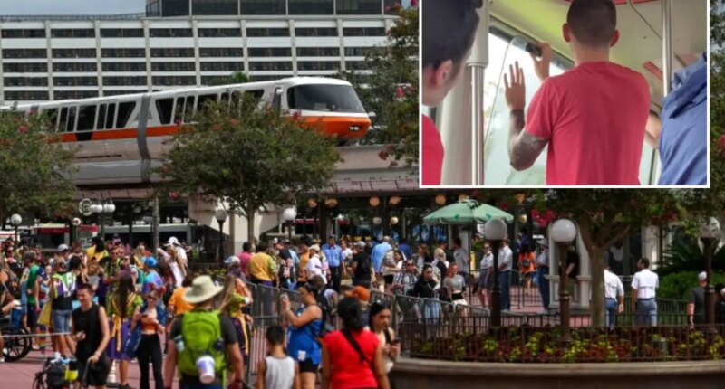 Disney World guests stranded on monorail after lightning strike halts rail system