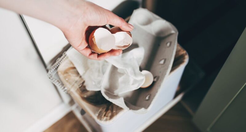 Dr Amir Khan says stop throwing away 1 food scrap and 'your body will thank you'