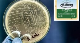 E. coli outbreak tied to raw milk cheese hits California