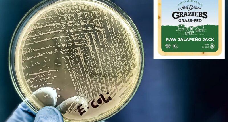 E. coli outbreak tied to raw milk cheese hits California