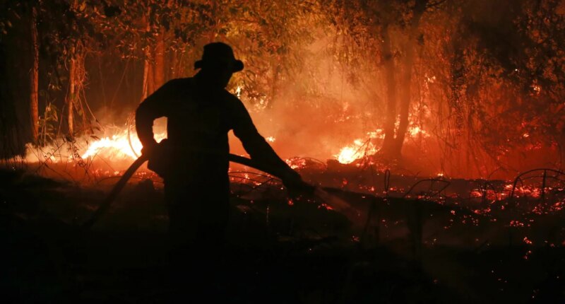 El Niño could cause 451,000 more heat-related deaths compared to normal year, group says. Map shows areas at risk.