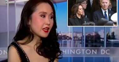 Ex-Dem insider Lindy Li exposes what Harris told top donors before Biden dropped out