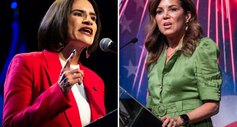 Ex-NFL reporter Michele Tafoya hammers Minnesota Dems on welfare fraud — as polls show her neck and neck in Senate race