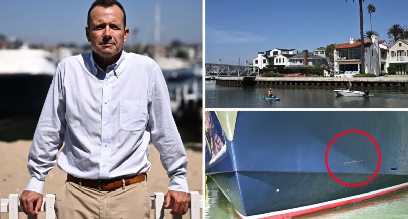 'Expert' human traffickers used getaway cars in Newport to help illegal migrants flee: witnesses