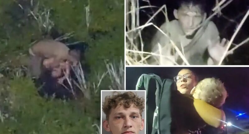 Florida DUI suspect drops baby, toddler into gator-infested swamp while running from cops: video
