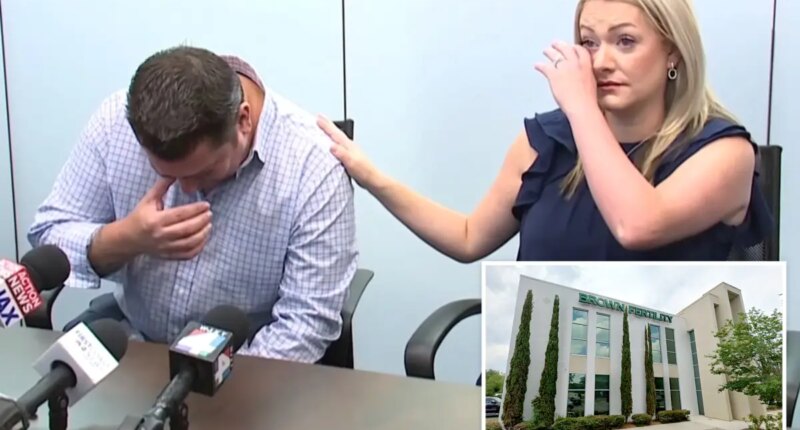 Florida couple accuse Brown Fertility clinic of using other man's sperm to create daughter's embryo