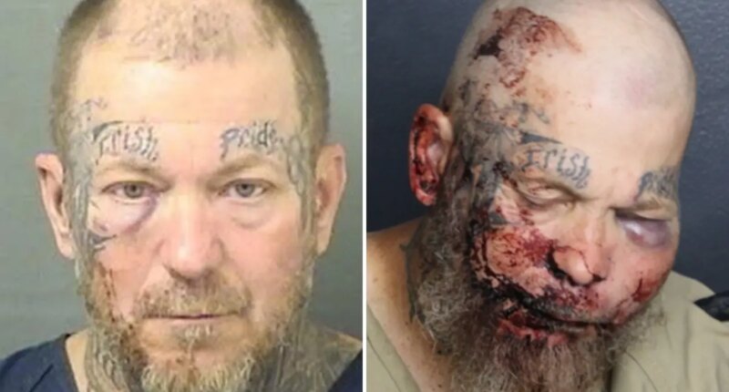 Florida man Ronald Jeffrey Johnson left with swollen face in mugshot after challenging police to a fight